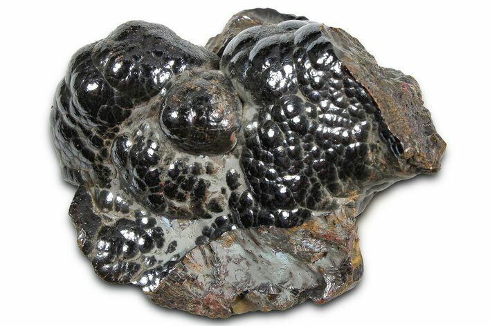 Kidney Ore (Botryoidal Hematite) - Morocco #349496